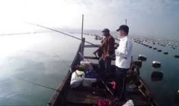 海钓视频,捕捉海洋之美