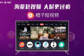 大视频,揭秘背后故事与精彩瞬间