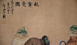 真人牲交视频,背后真相与警示