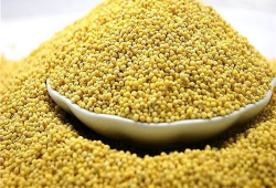 大黄米,传统美食的传承与创新之旅