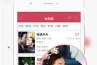 九九视频精品,探索视听盛宴的无限魅力