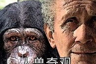 人兽视频,揭秘神秘生物与人类共存的奇幻世界