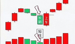 图片区小说区视频区,畅游小说与视频的奇幻之旅