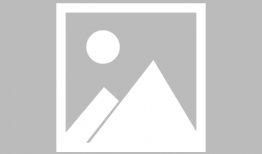 黑水虻养殖技术视频,揭秘高效生态养殖新趋势