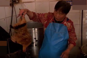 干老太视频,揭秘老年生活新风尚