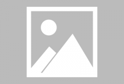 四个朋友,共绘人生画卷”