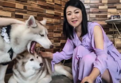 狗操人视频,揭秘动物与人类关系的微妙平衡